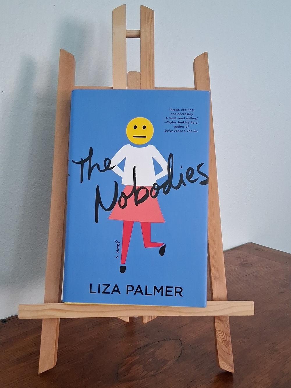 The Nobodies by Liza Palmer - Hardcover